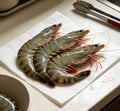 Greasyback Shrimp
