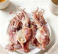 Sea Hare